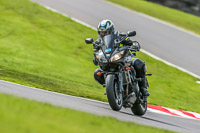 Oulton-Park-21st-March-2020;PJ-Motorsport-Photography-2020;anglesey;brands-hatch;cadwell-park;croft;donington-park;enduro-digital-images;event-digital-images;eventdigitalimages;mallory;no-limits;oulton-park;peter-wileman-photography;racing-digital-images;silverstone;snetterton;trackday-digital-images;trackday-photos;vmcc-banbury-run;welsh-2-day-enduro